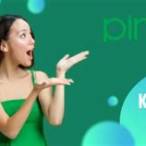 pinn bet kontakt telefon